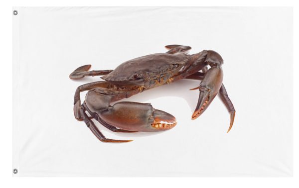 the crab guy flag (hawk) Sale