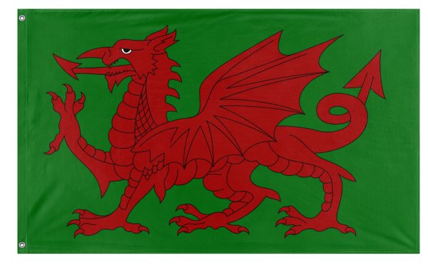 W.C  flag (O.T.P) (Hidden) Discount