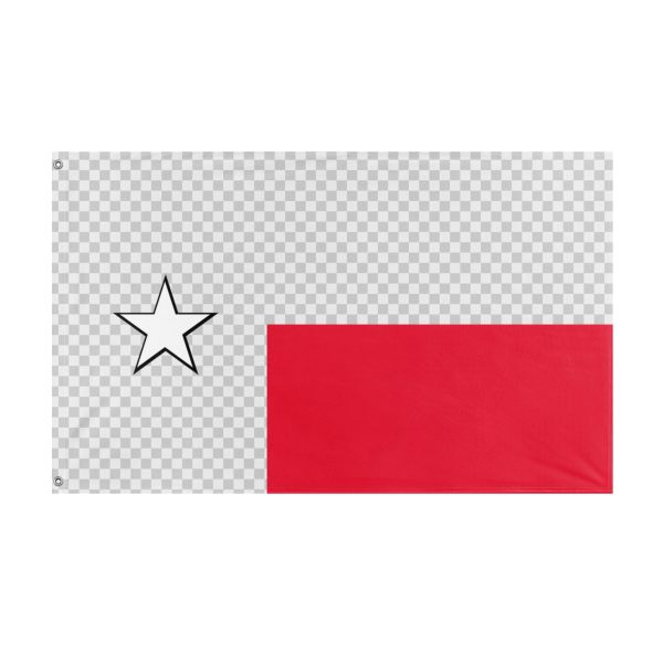 US History Flag (Grant williamson) (Hidden) Cheap
